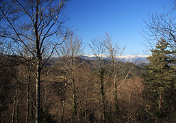 Sant Martí de Vinyoles. Les Llosses